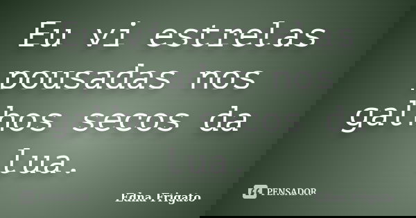 Eu vi estrelas pousadas nos galhos secos da lua.... Frase de Edna Frigato.