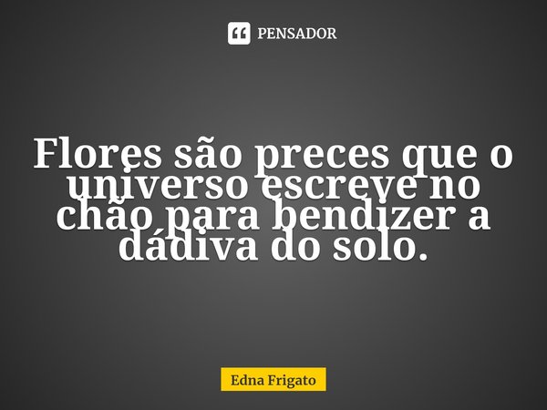 ⁠Flores são preces que o universo escreve no chão para bendizer a dádiva do solo.... Frase de Edna Frigato.