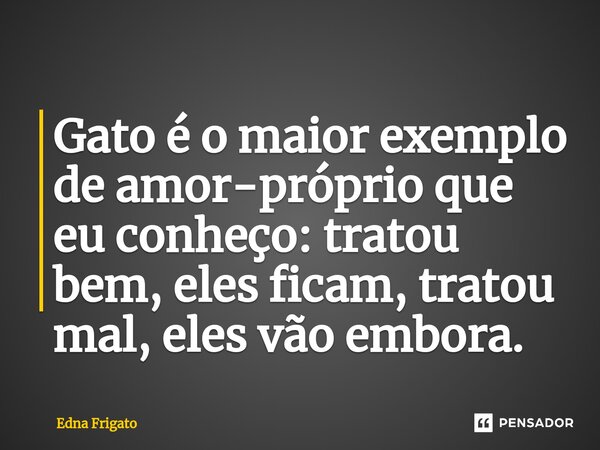 ⁠Gato é o maior exemplo de amor-próprio que eu conheço: tratou bem, eles ficam, tratou mal, eles vão embora.... Frase de Edna Frigato.