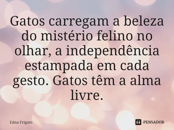 A intuição é o guia da alma Edna Frigato - Pensador