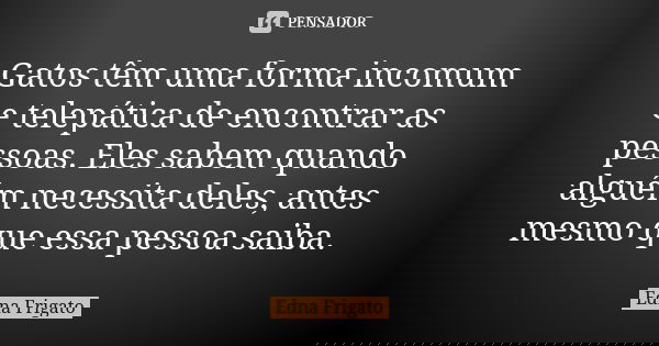 Gatos têm uma forma incomum e telepática de encontrar as pessoas. Eles sabem quando alguém necessita deles, antes mesmo que essa pessoa saiba.... Frase de Edna Frigato.