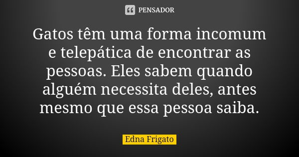 Gatos têm uma forma incomum e telepática de encontrar as pessoas. Eles sabem quando alguém necessita deles, antes mesmo que essa pessoa saiba.... Frase de Edna Frigato.