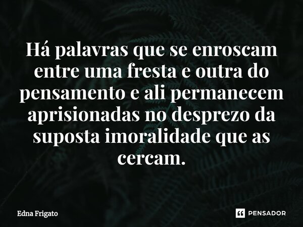 ⁠Há palavras que se enroscam entre uma fresta e outra do pensamento e ali permanecem aprisionadas no desprezo da suposta imoralidade que as cercam.... Frase de Edna Frigato.