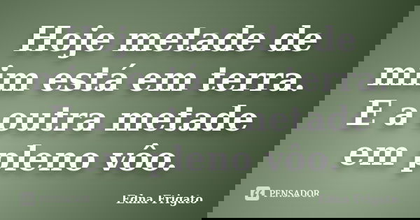 Hoje metade de mim está em terra. E a outra metade em pleno vôo.... Frase de Edna frigato.