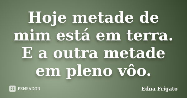 Hoje metade de mim está em terra. E a outra metade em pleno vôo.... Frase de Edna frigato.