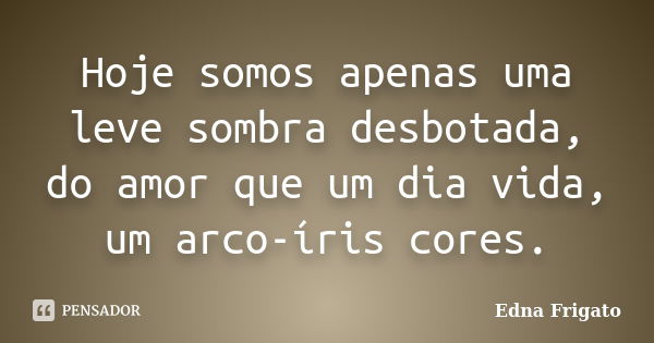 Hoje somos apenas uma leve sombra desbotada, do amor que um dia vida, um arco-íris cores.... Frase de Edna Frigato.