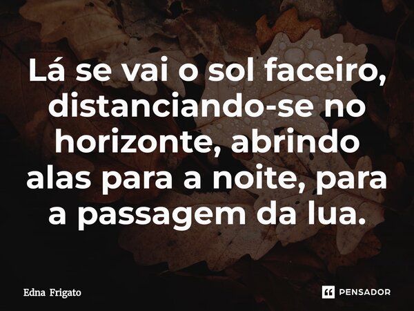 ⁠Lá se vai o sol faceiro, distanciando-se no horizonte, abrindo alas para a noite, para a passagem da lua.... Frase de Edna Frigato.