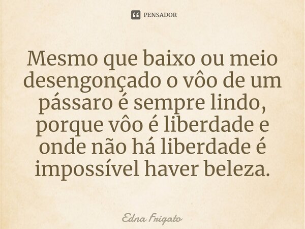 ⁠Mesmo que baixo ou meio desengonçado o vôo de um pássaro é sempre lindo, porque vôo é liberdade e onde não há liberdade é impossível haver beleza.... Frase de Edna Frigato.