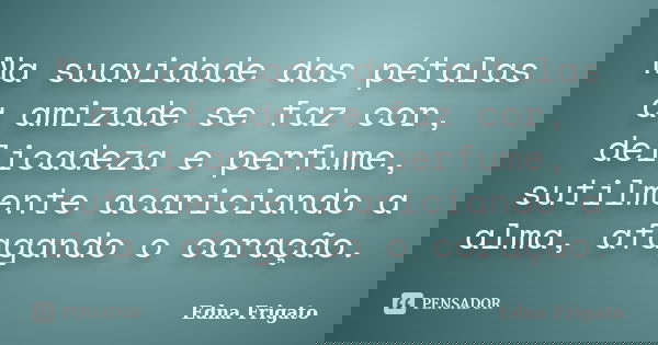 Na suavidade das pétalas a amizade se faz cor, delicadeza e perfume, sutilmente acariciando a alma, afagando o coração.... Frase de Edna Frigato.