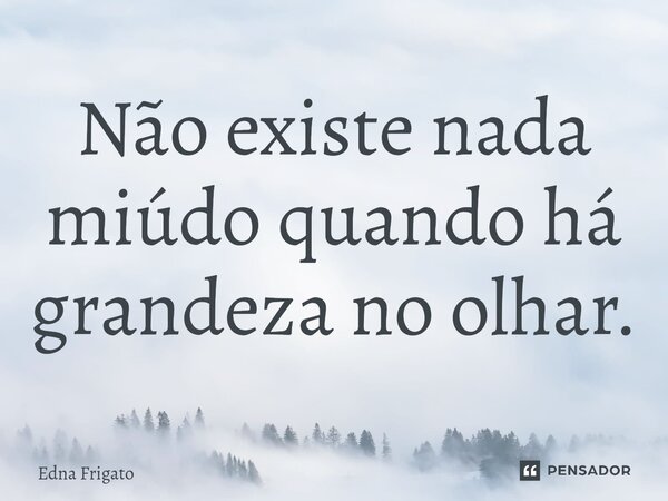 ⁠Não existe nada miúdo quando há grandeza no olhar.... Frase de Edna Frigato.