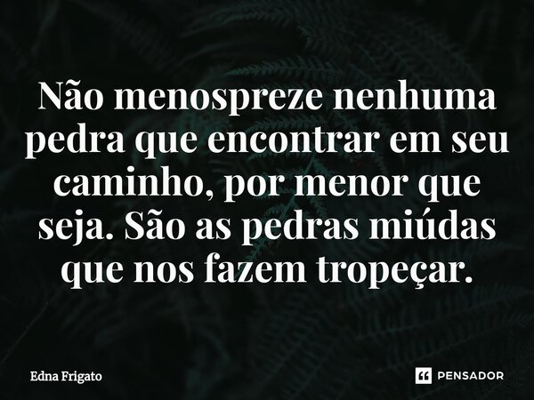 ⁠Não menospreze nenhuma pedra que encontrar em seu caminho, por menor que seja. São as pedras miúdas que nos fazem tropeçar.... Frase de Edna Frigato.