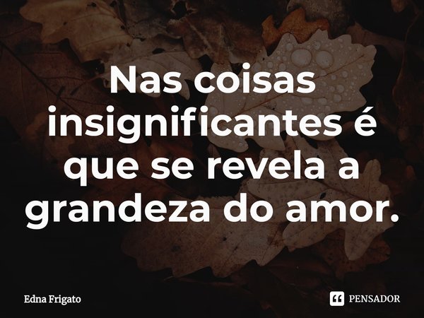 ⁠Nas coisas insignificantes é que se revela a grandeza do amor.... Frase de Edna Frigato.