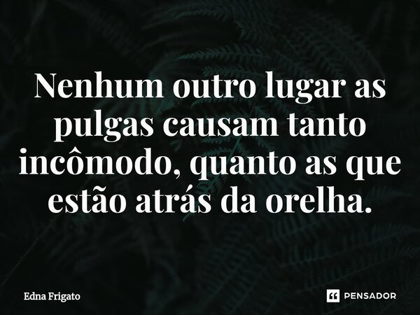 ⁠Nenhum outro lugar as pulgas causam tanto incômodo, quanto as que estão atrás da orelha.... Frase de Edna Frigato.