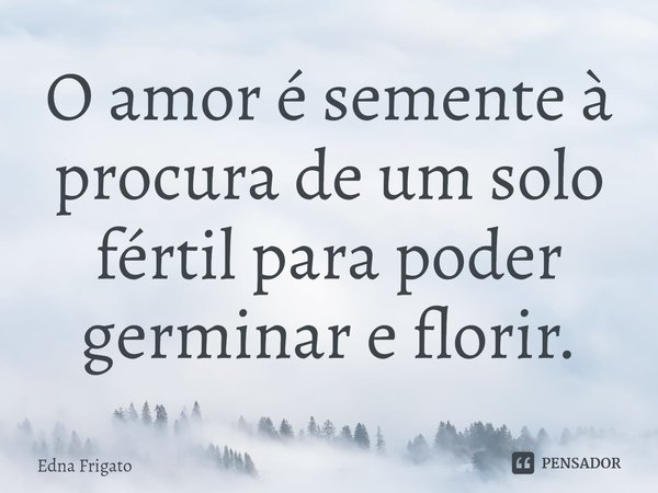 ⁠O amor é semente à procura de um solo fértil para poder germinar e florir.... Frase de Edna Frigato.
