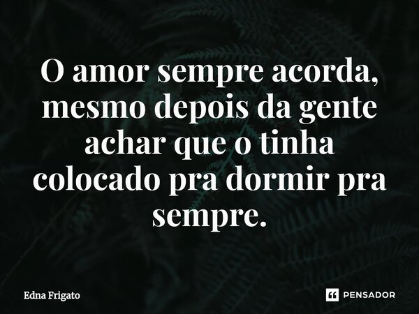 ⁠O amor sempre acorda, mesmo depois da gente achar que o tinha colocado pra dormir pra sempre.... Frase de Edna Frigato.