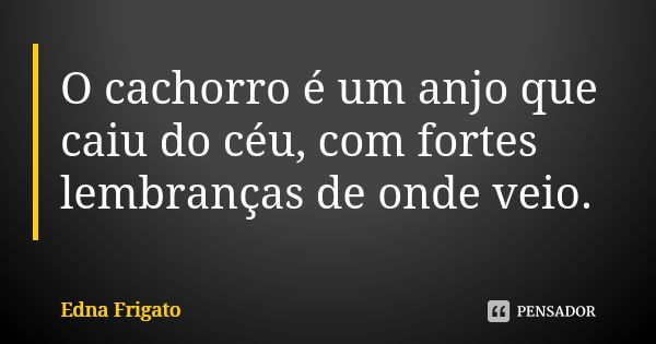 O cachorro é um anjo que caiu do céu, com fortes lembranças de onde veio.... Frase de Edna Frigato.