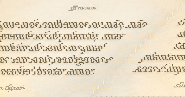 O que nós colhemos ou não, não depende só do plantio, mas também do solo no qual plantamos: em solo pedregoso e seco é impossível brotar amor.... Frase de Edna Frigato.