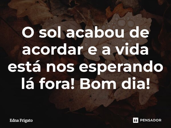 ⁠O sol acabou de acordar e a vida está nos esperando lá fora! Bom dia!... Frase de Edna Frigato.