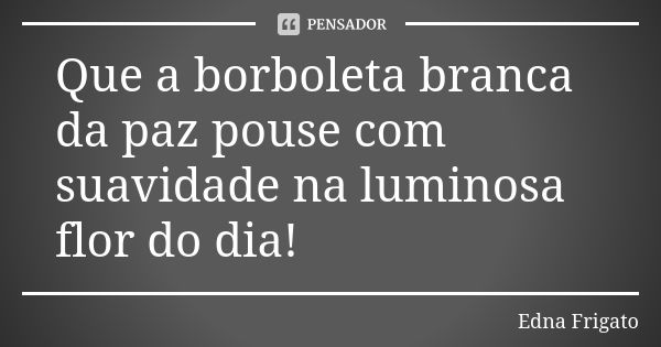 Que a borboleta branca da paz pouse com suavidade na luminosa flor do dia!... Frase de Edna Frigato.