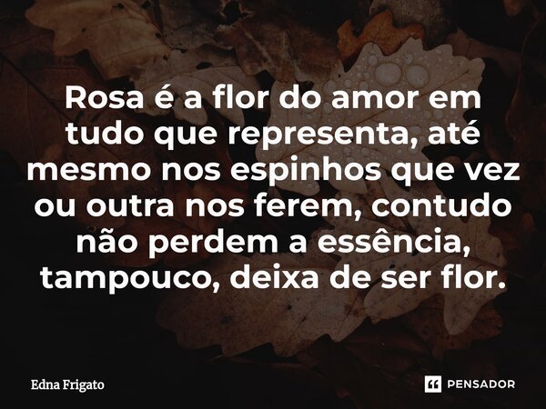 ⁠Rosa é a flor do amor em tudo que representa, até mesmo nos espinhos que vez ou outra nos ferem, contudo não perdem a essência, tampouco, deixa de ser flor.... Frase de Edna Frigato.