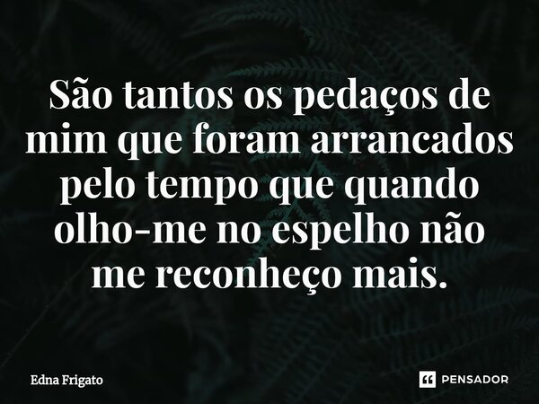 ⁠São tantos os pedaços de mim que foram arrancados pelo tempo que quando olho-me no espelho não me reconheço mais.... Frase de Edna Frigato.