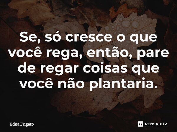 ⁠Se, só cresce o que você rega, então, pare de regar coisas que você não plantaria.... Frase de Edna Frigato.