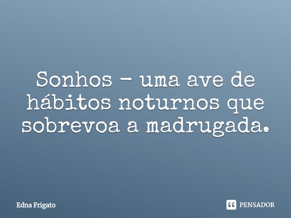 ⁠Sonhos - uma ave de hábitos noturnos que sobrevoa a madrugada.... Frase de Edna Frigato.