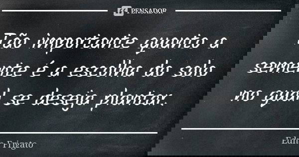 Tão importante quanto a semente é a escolha do solo no qual se deseja plantar.... Frase de Edna Frigato.