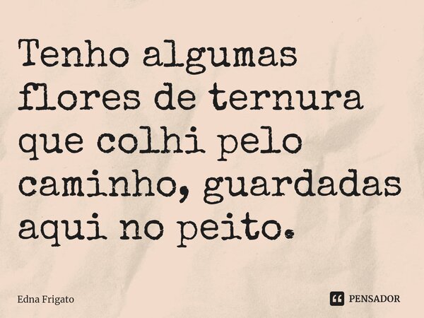 ⁠Tenho algumas flores de ternura que colhi pelo caminho, guardadas aqui no peito.... Frase de Edna Frigato.