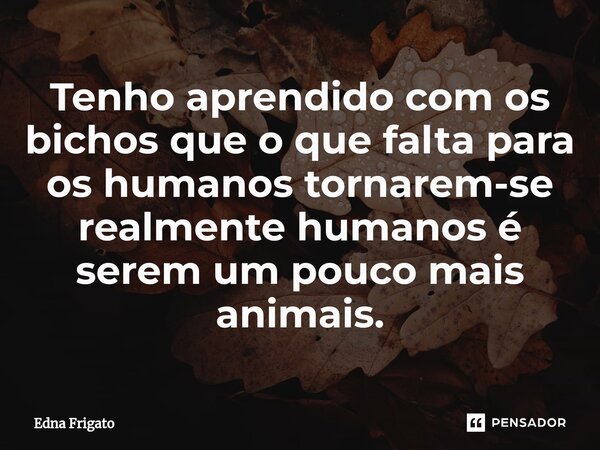 ⁠Tenho aprendido com os bichos que o que falta para os humanos tornarem-se realmente humanos é serem um pouco mais animais.... Frase de Edna Frigato.