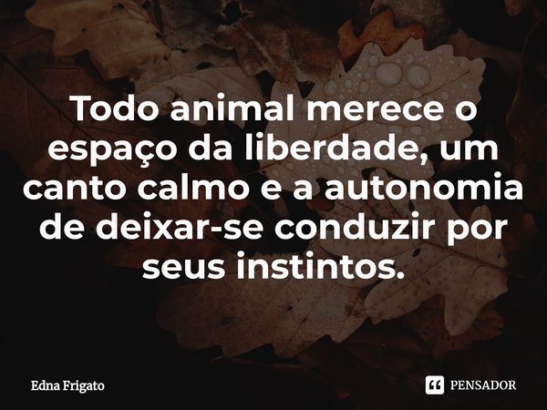 ⁠Todo animal merece o espaço da liberdade, um canto calmo e a autonomia de deixar-se conduzir por seus instintos.... Frase de Edna Frigato.