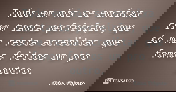 Tudo em nós se encaixa com tanta perfeição, que só me resta acreditar que fomos feitos um pro outro.... Frase de Edna Frigato.