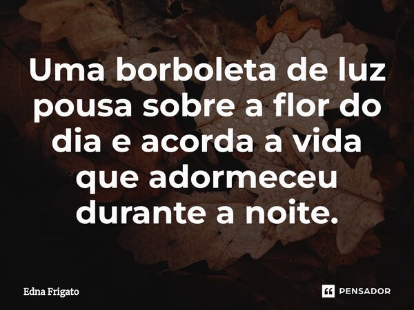 ⁠Uma borboleta de luz pousa sobre a flor do dia e acorda a vida que adormeceu durante a noite.... Frase de Edna Frigato.