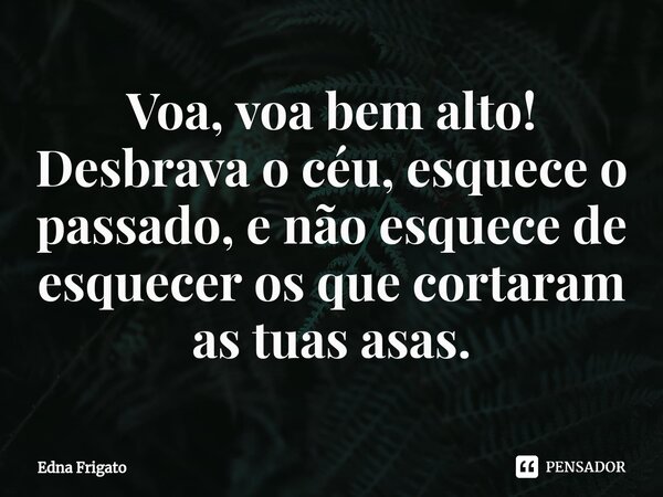 ⁠Voa, voa bem alto! Desbrava o céu, esquece o passado, e não esquece de esquecer os que cortaram as tuas asas.... Frase de Edna Frigato.