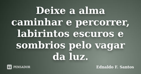 Deixe a alma caminhar e percorrer, labirintos escuros e sombrios pelo vagar da luz.... Frase de Ednaldo F. Santos.