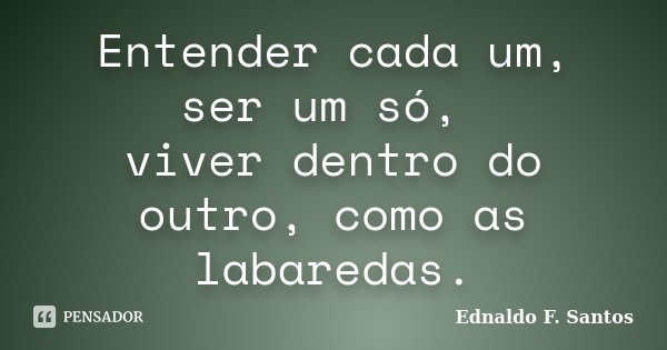 Entender cada um, ser um só, viver dentro do outro, como as labaredas.... Frase de Ednaldo F. Santos.