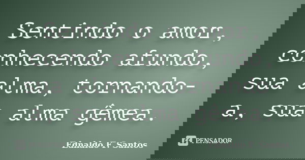 Sentindo o amor, conhecendo afundo, sua alma, tornando-a, sua alma gêmea.... Frase de Ednaldo F. Santos.