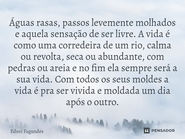 ⁠Águas rasas, passos levemente molhados e aquela sensação de ser livre. A vida é como uma corredeira de um rio, calma ou revolta, seca ou abundante, com pedras ... Frase de Ednei Fagundes.