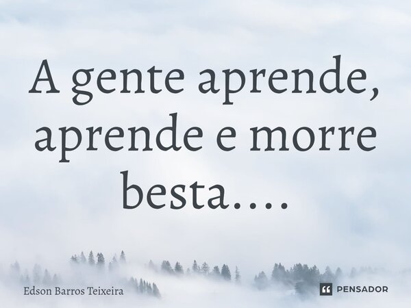 ⁠A gente aprende, aprende e morre besta....... Frase de Edson Barros Teixeira.