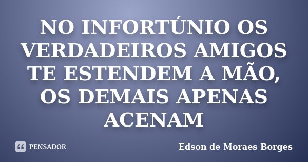 NO INFORTÚNIO OS VERDADEIROS AMIGOS TE ESTENDEM A MÃO, OS DEMAIS APENAS ACENAM... Frase de Edson de Moraes Borges.