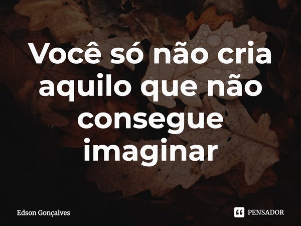 ⁠Você só não cria aquilo que não consegue imaginar... Frase de Edson Gonçalves.