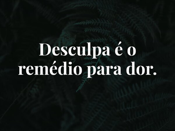 Desculpa é o remédio para dor.... Frase de edson inhala.