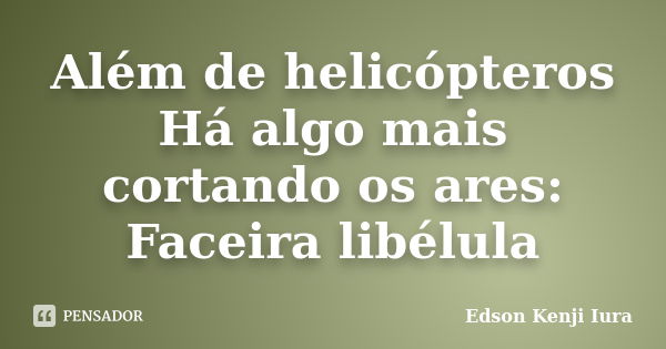 Além de helicópteros
Há algo mais cortando os ares:
Faceira libélula... Frase de Edson Kenji Iura.