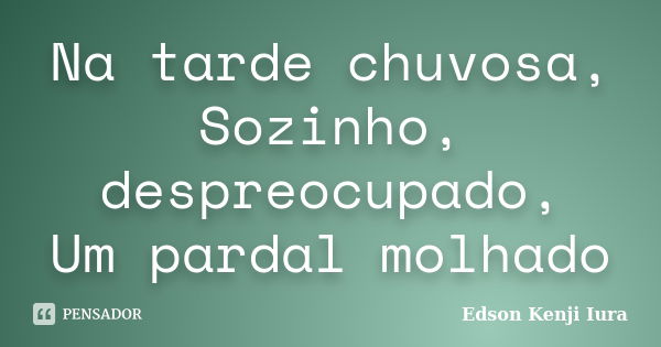 Na tarde chuvosa,
Sozinho, despreocupado,
Um pardal molhado... Frase de Edson Kenji Iura.