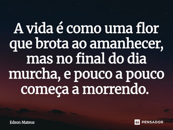 A vida é como uma flor que brota ao amanhecer, mas no final do dia murcha, e pouco a pouco começa a morrendo. ⁠... Frase de Edson Mateus.