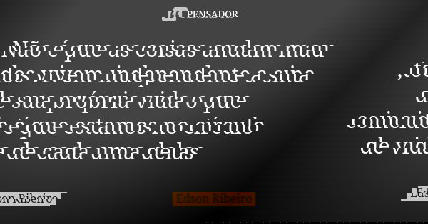 Não é que as coisas andam mau ,todos vivem independente a sina de sua própria vida o que coincide é que estamos no círculo de vida de cada uma delas... Frase de Edson Ribeiro.