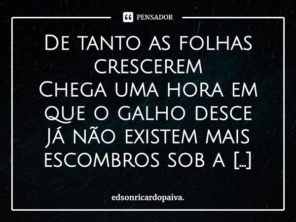 ⁠De tanto as folhas crescerem
Chega uma hora em que o galho desce
Já não existem mais escombros sob a sombra
Há paz e alegria de sobra
Só quem chora é a chuva
M... Frase de edsonricardopaiva..