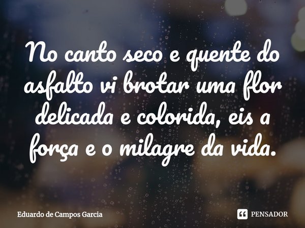 ⁠No canto seco e quente do asfalto vi brotar uma flor delicada e colorida, eis a força e o milagre da vida.... Frase de Eduardo de Campos Garcia.