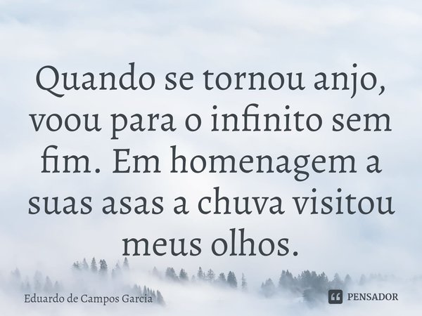 ⁠Quando se tornou anjo, voou para o infinito sem fim. Em homenagem a suas asas a chuva visitou meus olhos.... Frase de Eduardo de Campos Garcia.