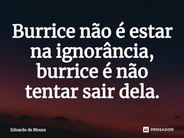 Burrice não é estar na ignorância, burrice é não tentar sair dela.... Frase de Eduardo de Moura.